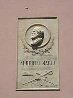 Alberto Mario