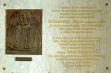 Ivan Antunović