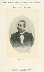 Julius von Michel