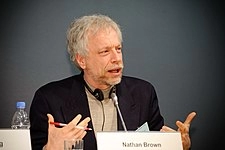 Nathan J. Brown (political scientist)